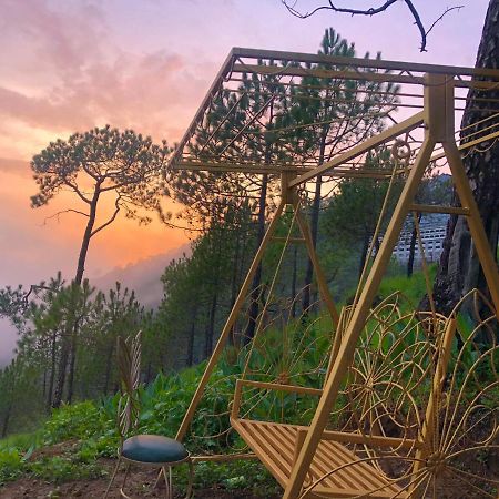 The Westberry 50Mtrs Offroading And 50 Mtrs Nature Path Acomodação com café da manhã Shimla Exterior foto